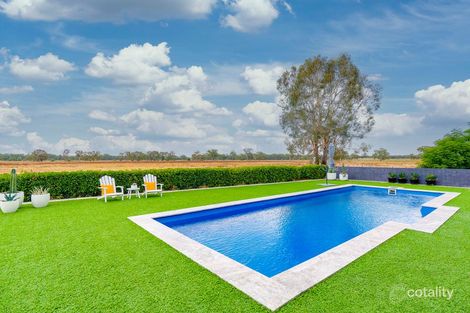 Property photo of 126 Kneebones Road Euberta NSW 2650
