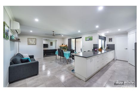 Property photo of 6 Peregrin Court Parkhurst QLD 4702