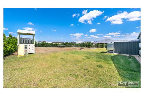 Property photo of 6 Peregrin Court Parkhurst QLD 4702