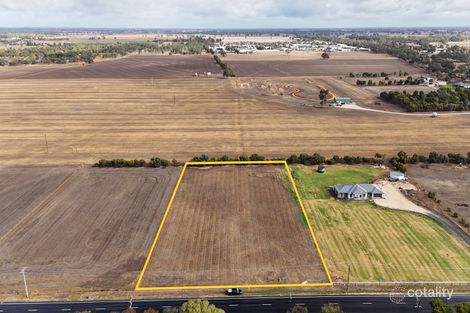 Property photo of 125 Ramsay Terrace Bordertown SA 5268