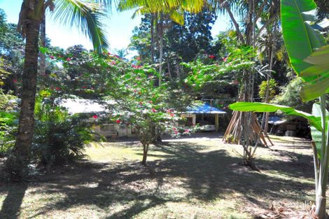 Property photo of 25 Cadagi Drive Kuranda QLD 4881