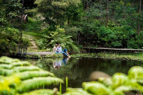 35 Rose Gum Lane, Witta, QLD 4552