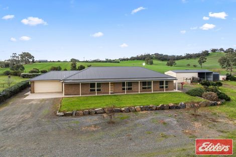 177 Krieg Rd, Seppeltsfield, SA 5355