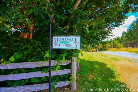 36055 Tasman Hwy, Springfield, TAS 7260