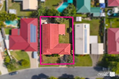 Property photo of 14 Allira Crescent Carseldine QLD 4034