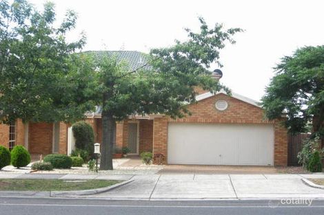 19 Springfield Rd, Blackburn North, VIC 3130