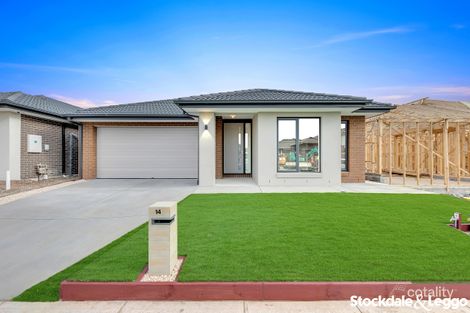 14 Jagged Cct, Tarneit, VIC 3029