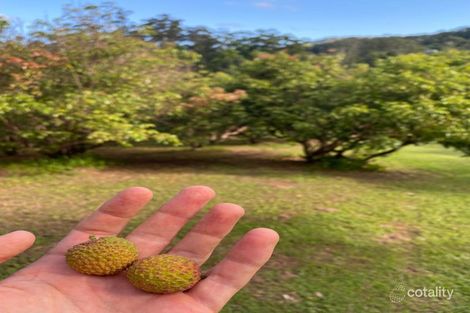 10 Hardy Cl, Korora, NSW 2450