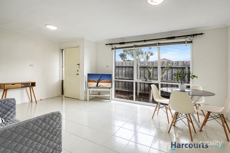 Property photo of 6/9 Bettina Street Clayton VIC 3168