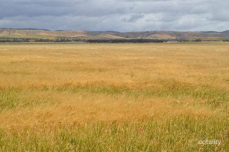 2547 Black Springs Rd, Robertstown, SA 5381