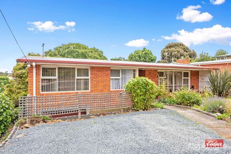 Property photo of 38 Grandview Avenue Park Grove TAS 7320