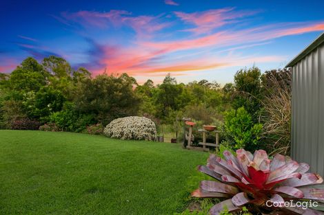 Property photo of 14 Norton Court Cooroy QLD 4563