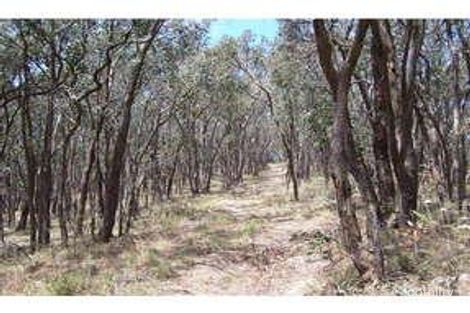 Property photo of 295 North Mountain Road Heathcote Junction VIC 3758