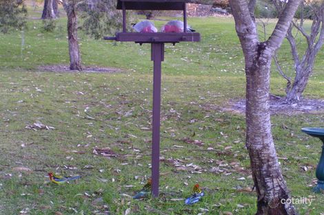 2/60 Lawson St, Nelson Bay, NSW 2315