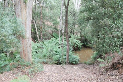 8 Rubida Dr, Scotchtown, TAS 7330