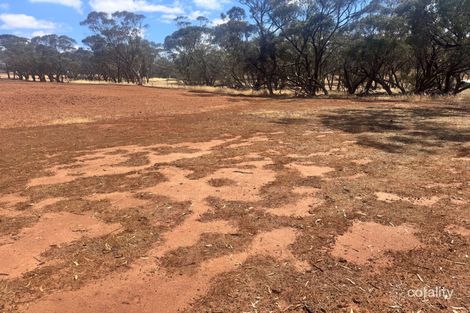 Property photo of 65 Forrest Street Bolgart WA 6568