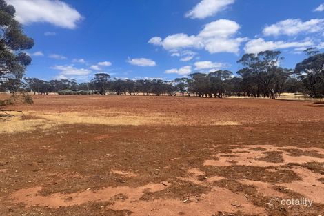 Property photo of 65 Forrest Street Bolgart WA 6568