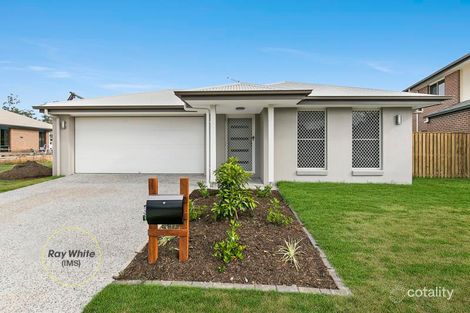 13 Dryander St, North Lakes, QLD 4509