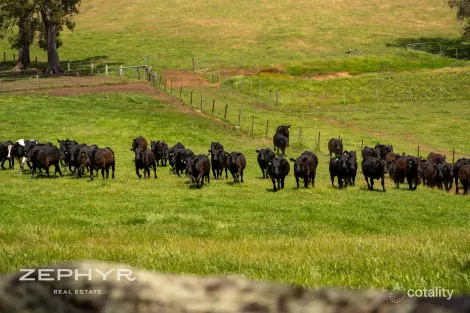 25 Beela Rd, Brunswick, WA 6224