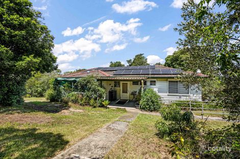 Property photo of 10 Nulla Nulla Lane Hinton NSW 2321