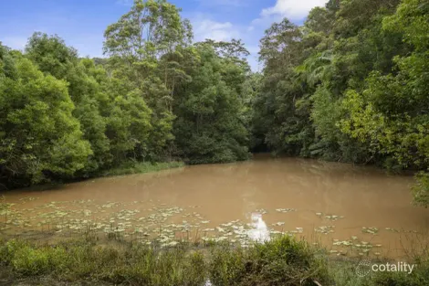 Property photo of 1101 Reserve Creek Road Reserve Creek NSW 2484