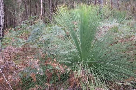 Property photo of 24175 Tasman Highway Beaumaris TAS 7215