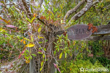 9 Capo Lane, Tamborine Mountain, QLD 4272