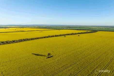 1133 Koornong Rd, West River, WA 6346