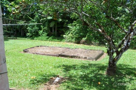 Property photo of 3 Ibis Street Innisfail QLD 4860
