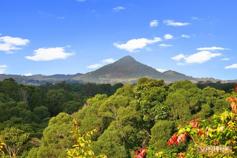 Property photo of 103 Tallowwood Place Black Mountain QLD 4563