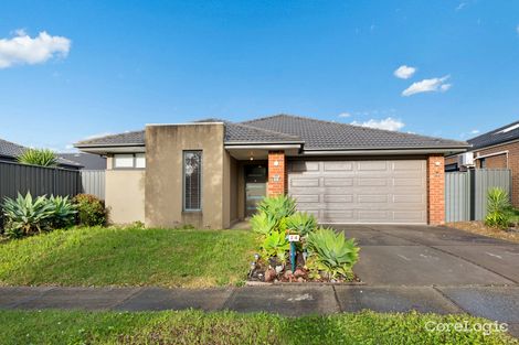 Property photo of 24 Abrus Circuit Cranbourne North VIC 3977