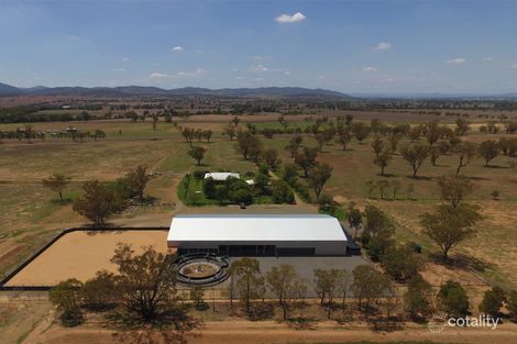 1071 Wallamore Rd, Gidley, NSW 2340