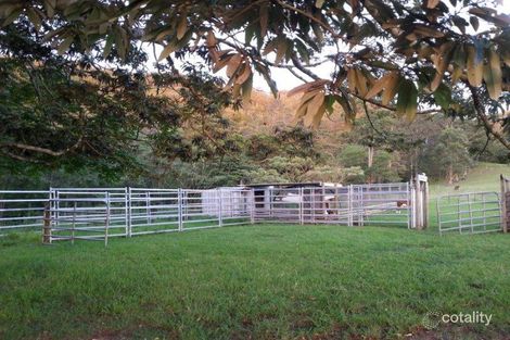 Property photo of 91 Willow Glen Road Kindee NSW 2446
