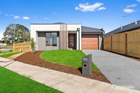 69 Blue Lily Cct, Junction Village, VIC 3977