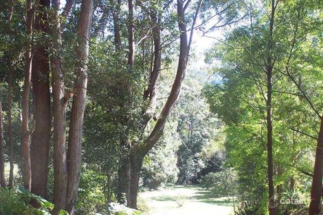Property photo of 5671 Tweed Valley Way Crabbes Creek NSW 2483