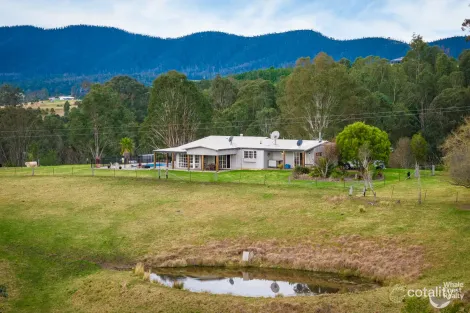 Property photo of 160 Link Road Wandella NSW 2550