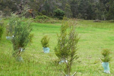 Property photo of 112 Peace Street Shadforth WA 6333