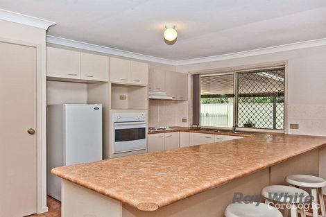 Property photo of 162 Dorville Road Carseldine QLD 4034