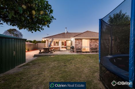 59 Crossdale Rise, Endeavour Hills, VIC 3802