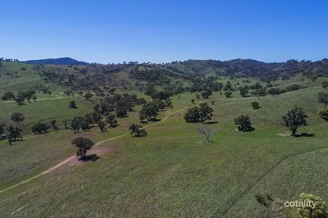 392 Grattai Creek Rd, Grattai, NSW 2850
