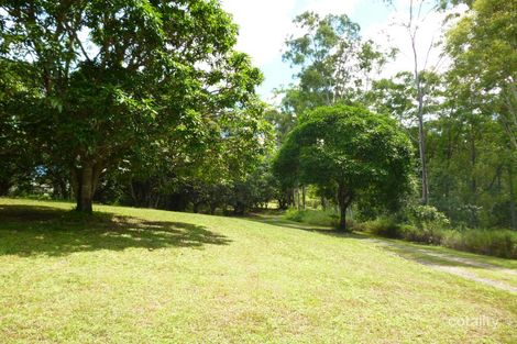 Property photo of 631 Yakapari-Seaforth Road Mount Jukes QLD 4740