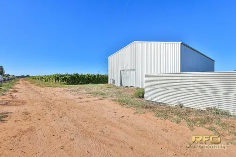 Property photo of 29 Cocklin Avenue Red Cliffs VIC 3496