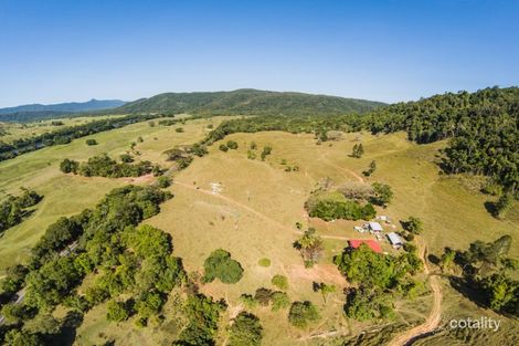 Property photo of 3391 Mossman Daintree Road Daintree QLD 4873