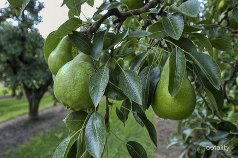 570 Central Ave, Orrvale, VIC 3631