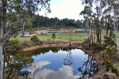 Property photo of 1809 Numeralla Road Numeralla NSW 2630