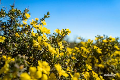 2704 Ogilvie Rd W, Yallabatharra, WA 6535