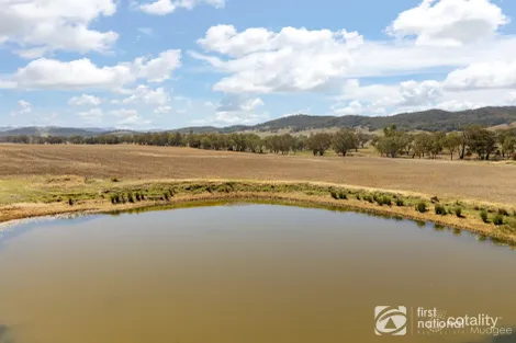 Property photo of 365 Erudgere Lane Erudgere NSW 2850