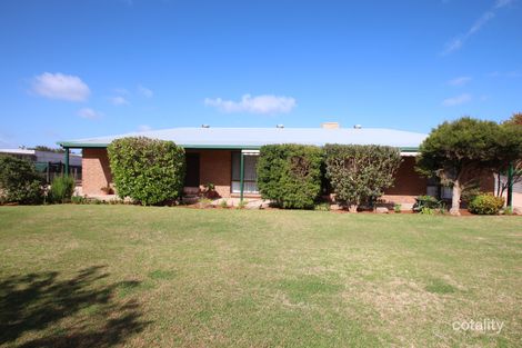 Property photo of 88 Twentysecond Street Crescent SA 5341
