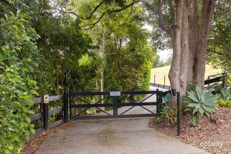 Property photo of 203 Black Mountain Road Black Mountain QLD 4563