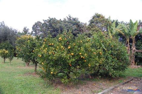 Property photo of 111 Tablelands Road Cooran QLD 4569